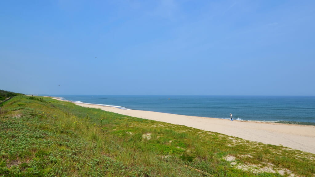 Sandy beach and coastal greenery at Hojo in Hokuei, Tottori
