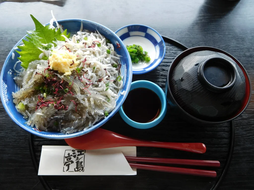 A bowl of raw and boiled whitebait served over rice at Enoshima