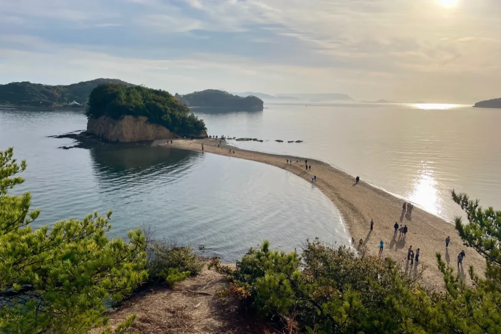 The Angel Road sandbar curving out to a small wooded island in calm water, seen from the hill above