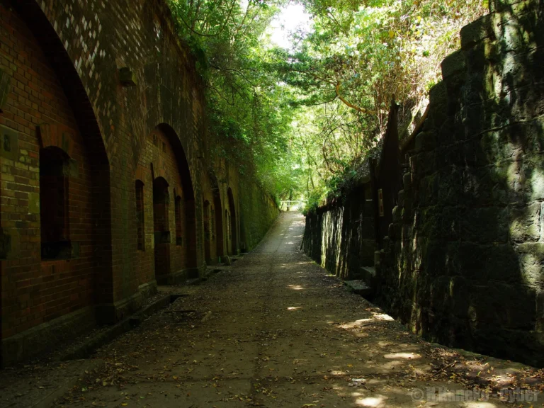A paved path running between moss-covered brick arches and a stone wall, under a canopy of trees on Tomogashima