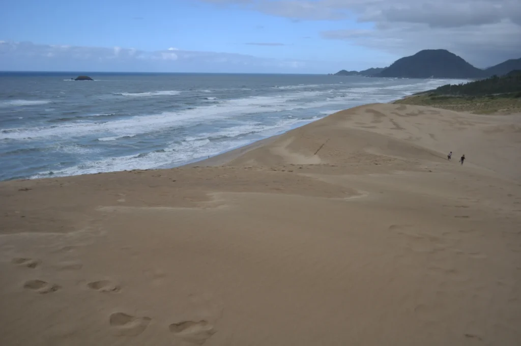 Sand dunes sloping down to the sea with a wooded headland in the distance, Tottori